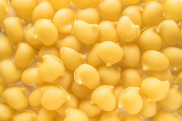 Food background Uncooked Macaroni Lumaconi