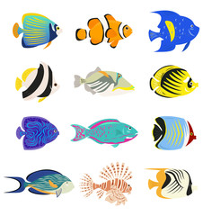 Set of cute tropical fishes on white background.