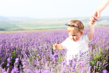 Happy little girl holding a hand of her mother on lavender background. Cute baby playing in meadow field. Family holiday in summer day.