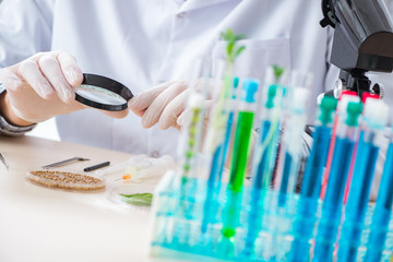 Male biochemist working in the lab on plants