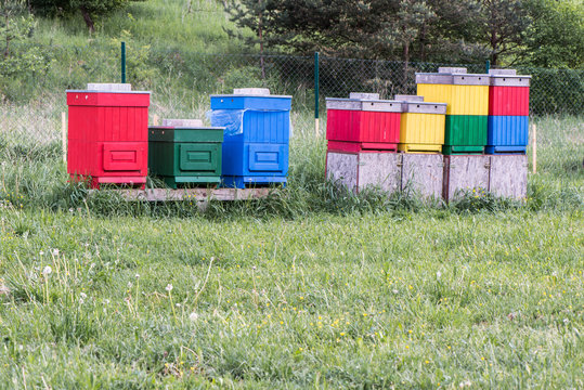 Colorful bee hives at nature