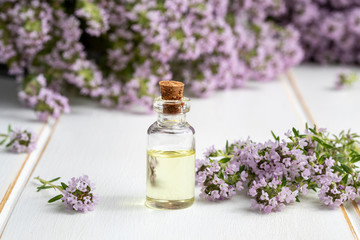 Obraz na płótnie Canvas A bottle of essential oil with blooming thyme on a white background