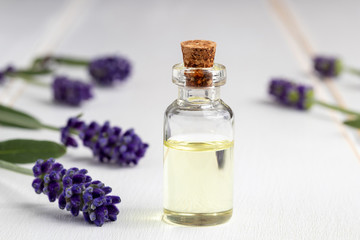 A bottle of essential oil with fresh blooming lavender