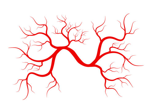 Creative vector illustration of red veins isolated on background. Human vessel, health arteries, Art design. Abstract concept graphic element capillaries. Blood system