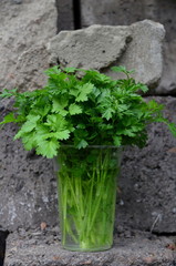 
A bunch of juicy parsley stays in a glass of water.