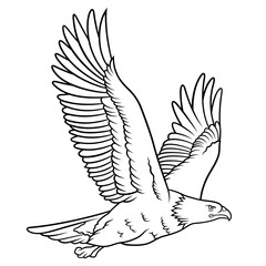 Eagle 013