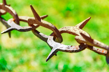 Old and rusty chain with sharp edges against the background of green grass, ban on the entrance, background of green grass with shining sun