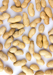 Fried peanuts in shell. Peanut in shell on white background.