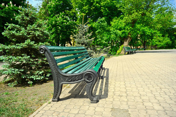 Green bench in the park on a warm spring day in summer