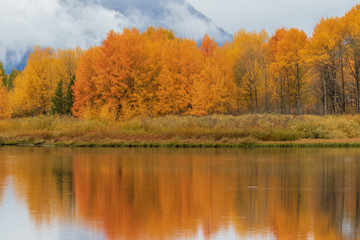 Fototapeta na wymiar Teton Scenic Autumn Reflection