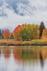 Teton Scenic Autumn Reflection