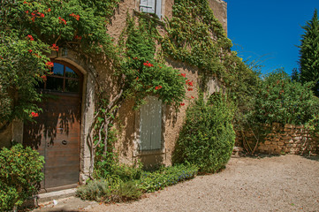 Fototapeta na wymiar View of typical stone house facing a yard, with sunny blue sky and flowers at the village of Menerbes. In the Vaucluse department, Provence-Alpes-Côte d'Azur region, southeastern France