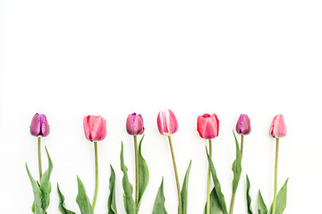 Colorful tulip flowers on white background. Flat lay, top view festive floral concept.