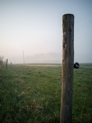 Tree Pole of Electric fence in an Early Morning Besides Countryside Road