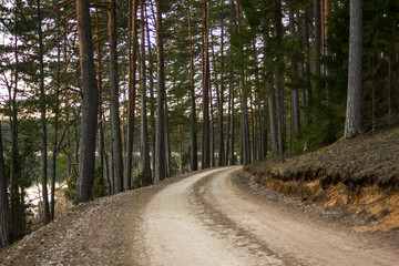 View of the Forest Road, heading deaper in the Woods
