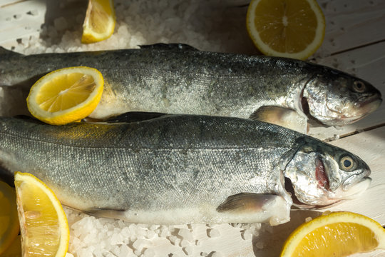 Rainbow trout over sea salt with pieces of lemon over white Mediterranean wooden background