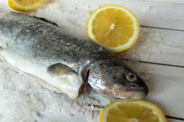 Rainbow trout over sea salt with pieces of lemon over white Mediterranean wooden background