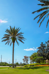 Beautiful entrance to Kennedy space center with palms