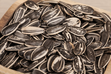 Sunflower seeds - Helianthus annuus