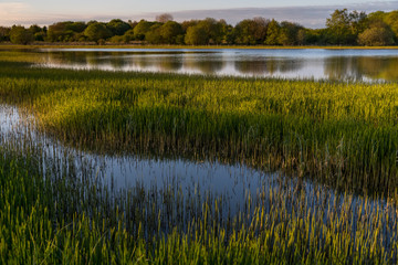 Greenhead Moss Nature Reserve