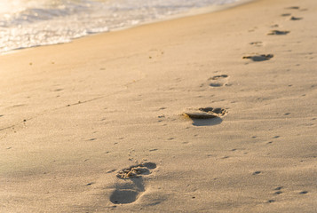 Beach line near the ocean sea with footprints in the sand. Concept of summer, holidays, vacation, travel, and beach
