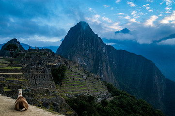 Machu Picchu