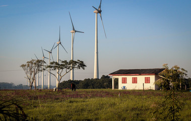 calmaria do campo.