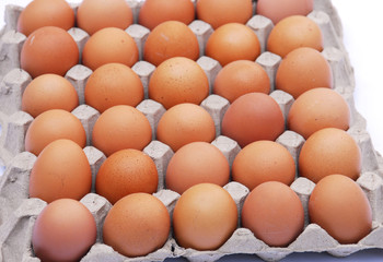 close up on brown eggs in egg box isolated on white background