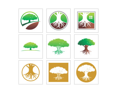 tree jungle forest wood image vector icon set