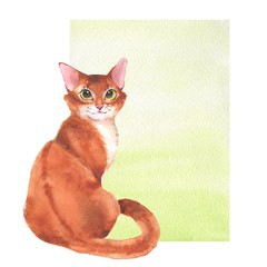 Cat. Watercolor illustration