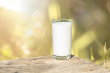 a glass of milk on wooden table with nature background.