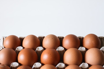 Close-up view of raw chicken eggs in egg box isolated with white background