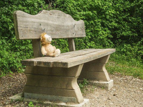 Soft toy lion on park bench