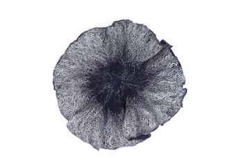 Abstract background for design created from wool, for decoration, text design, template.