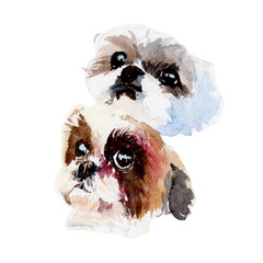 Dogs watercolor illustrations and Hand drawn sketch. Watercolor painting Cute Dogs. Animal Illustration isolated on white background.