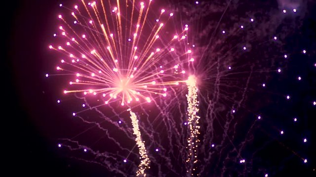 Slow motion shot of a beautiful firework display on the 4th of July.