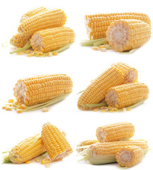 Fresh corn