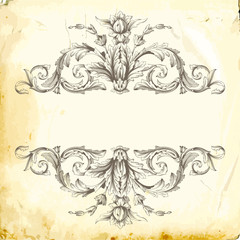 Vector baroque of vintage elements for design. 