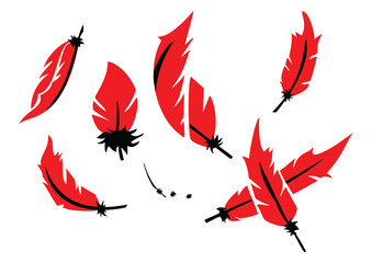 Red and Black Feather - 205018910