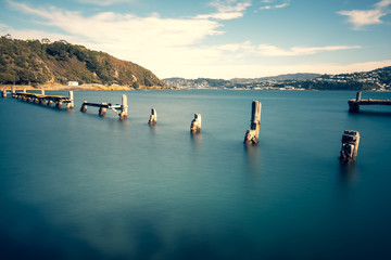 Landscape of Wellington, New Zealand © YiuCheung