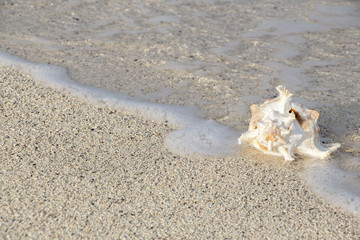Summer concept of sandy beach. Summer vacation concept