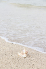 Summer concept of sandy beach. Summer vacation concept