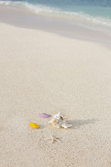 Summer concept of sandy beach. Summer vacation concept