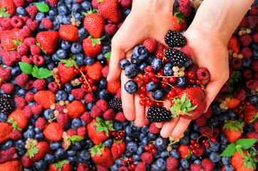 Woman hands holding organic fresh berries against the background of strawberry, blueberry,...