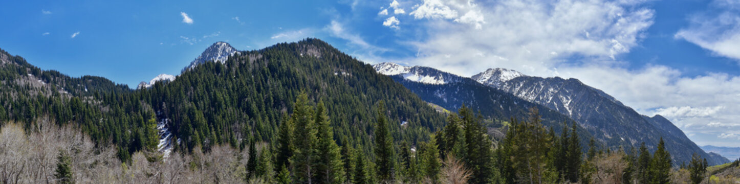Panoramic Views of Wasatch Front Rocky Mountains from Little Cottonwood Canyon looking towards the Great Salt Lake Valley in early spring with melting snow, pine trees and budding Quaking Aspen in Uta © Jeremy