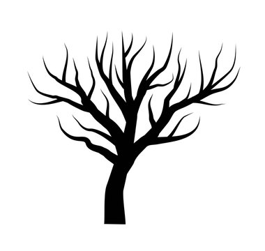 Bare tree vector illustration