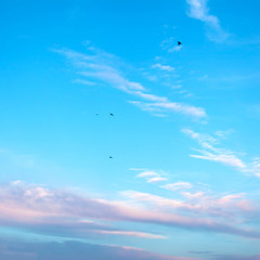 Beautiful purplish pink clouds soar across the screen over a deep blue background.