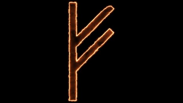 Viking Rune Fehu in Alpha Channel