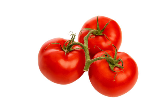 Juicy ripe tomatoes on a branch, close-up, isolated on a white background