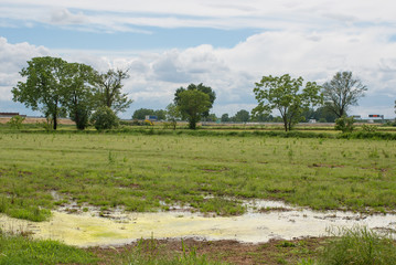 terreno agricolo a riposo